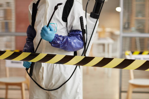 Professional Sewage Cleanup technician working in East Wareham, MA